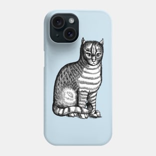 Sixteenth Century Tabby Cat or Brindle Cat Phone Case