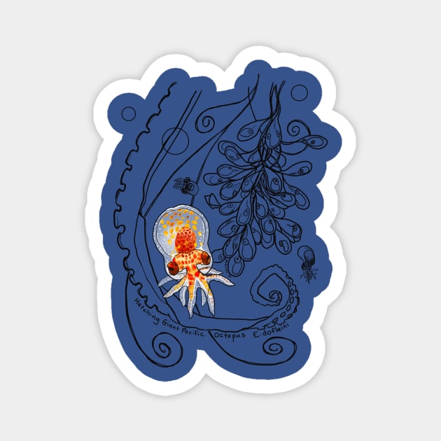 Baby Octopus Doodle Magnet by mernstw