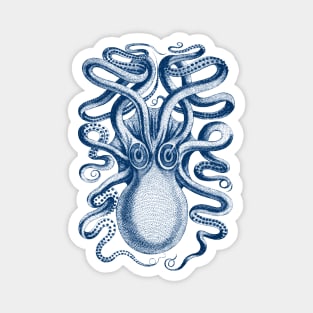 Octopus Magnet