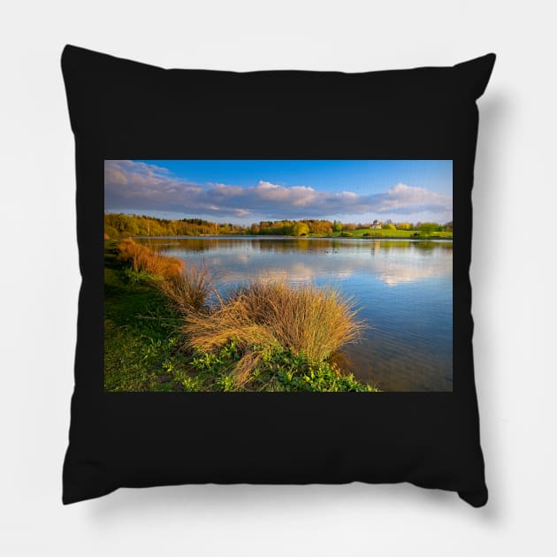 Hardwick Park Lake, County Durham Pillow by MartynUK