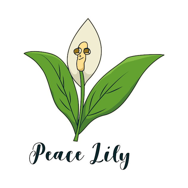 Peace Lily by bluerockproducts