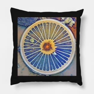 Watery Arachnodiscus Pillow