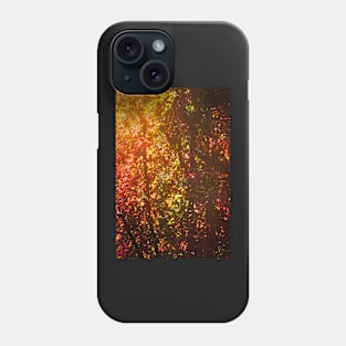 Colors 170 Phone Case