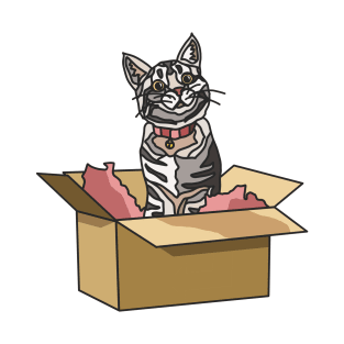 Tabby Cat in a Box T-Shirt