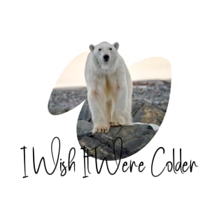 Do you feel it's too hot outside? I Wish It Were Colder T-Shirt