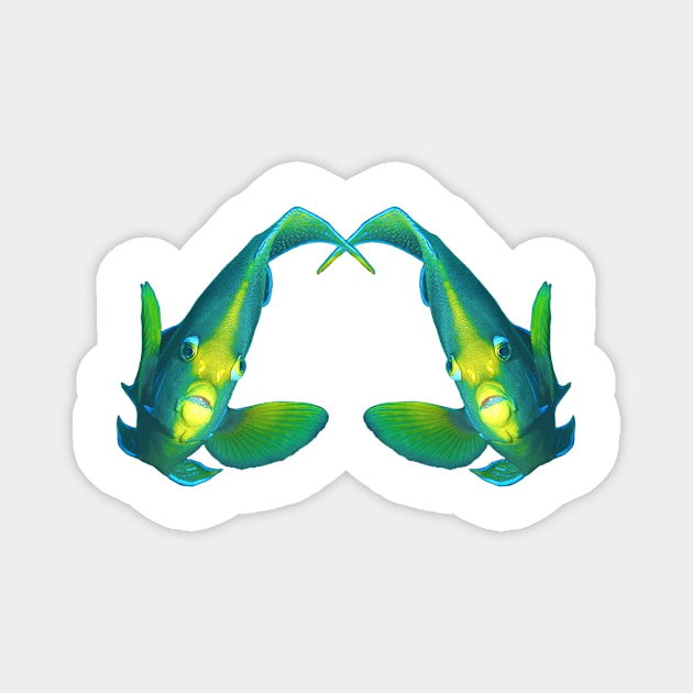 Angelfish | Pair of twins | White background | Magnet by Ute-Niemann