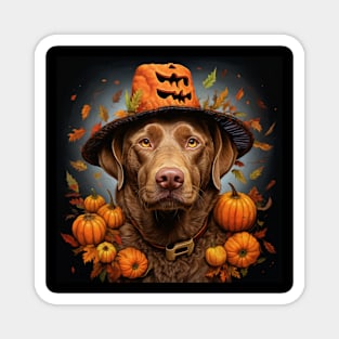 Chesapeake bay retriever lover Halloween Magnet