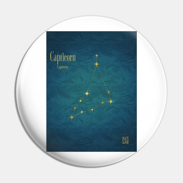 Night Sky Constellations - Capricorn Pin by fiatluxillust