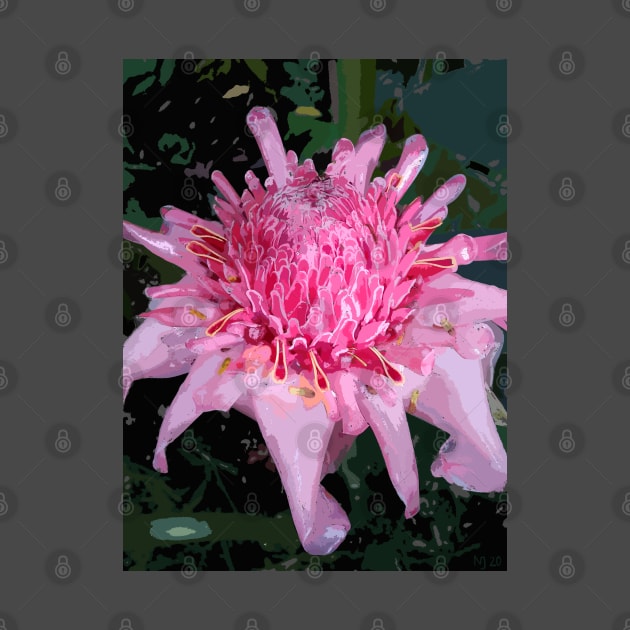 Pink Torch Ginger by NadJac