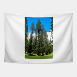 Lanai CIty Cook Island Pines Study 2 Tapestry