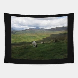 Ben Lomond on Loch Lomond, Scotland Tapestry