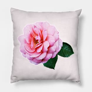 Pink Renaissance Rose Pillow