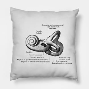 Inner Ear Anatomy Diagram Pillow