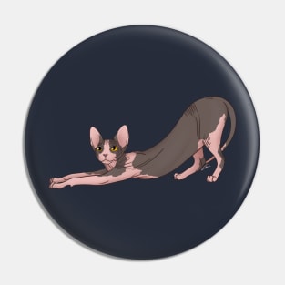 Bicolor Sphynx Cat With Yellow Eyes, Hairless Cat Pin