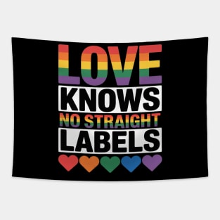 Love Knows No Straight Labels LGBT Gay Ally Queer Pride Tapestry