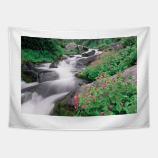 Paradise River Surrounded By Spring Flowers Mt Rainier National Park Tapestry