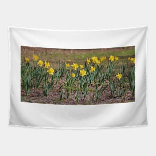 Daffodils Say Spring Tapestry