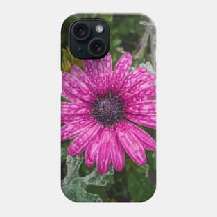 dew drops on purple aster Phone Case