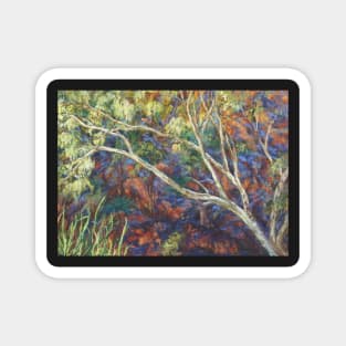 River red gum at Ellery Creek Waterhole Magnet