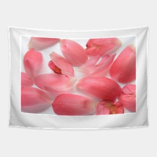 Peony petals  flower Tapestry