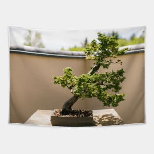 Bonsai Tree Tapestry