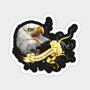 Bald eagle Magnet