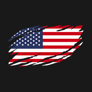 usa flag T-Shirt