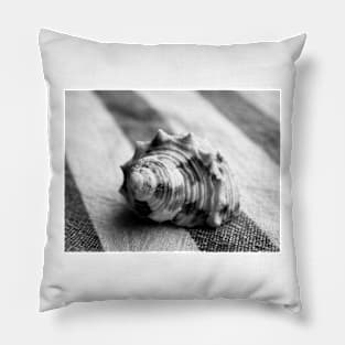 Shell 3 Pillow