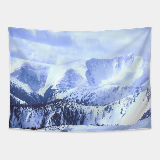 Blue Snow Mountain Range Tapestry by Kadeda RPG