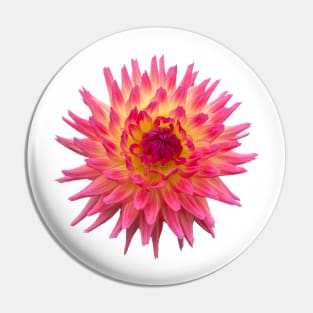 Sangria Dahlia, Hot Pink and Yellow Flower Pin