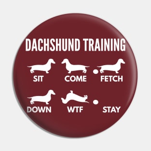 Dachshund Training Dachshund Dog Tricks Pin