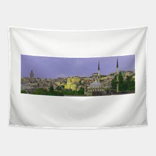 Istanbul from the Bosphorus Tapestry