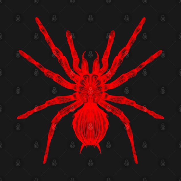 Red Spider by fakeface