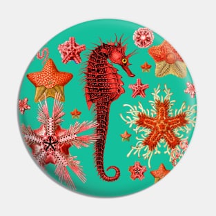 RED SEAHORSE AND SEASTARS IN TURQUOISE BLUE GREEN Sea Life Pin