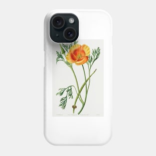 California poppy - Botanical Illustration Phone Case