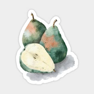 Watercolor pears Magnet