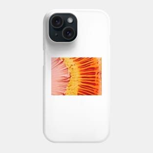 Eye anatomy, SEM (P424/0232) Phone Case