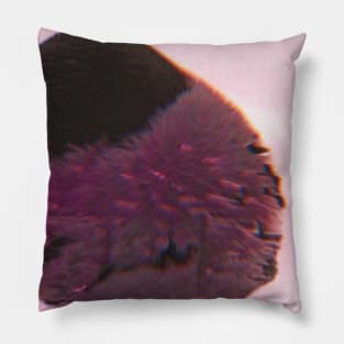 Sentiment and Edge Pillow