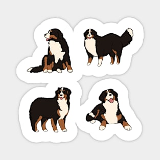 Cute bernese mountain dog pack Magnet