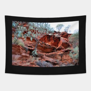 Australie - Kings Canyon Tapestry