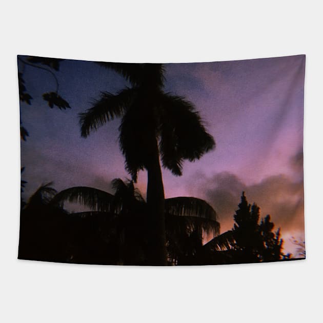 Pink Tropical Sunset Tapestry by SoCalDreamin