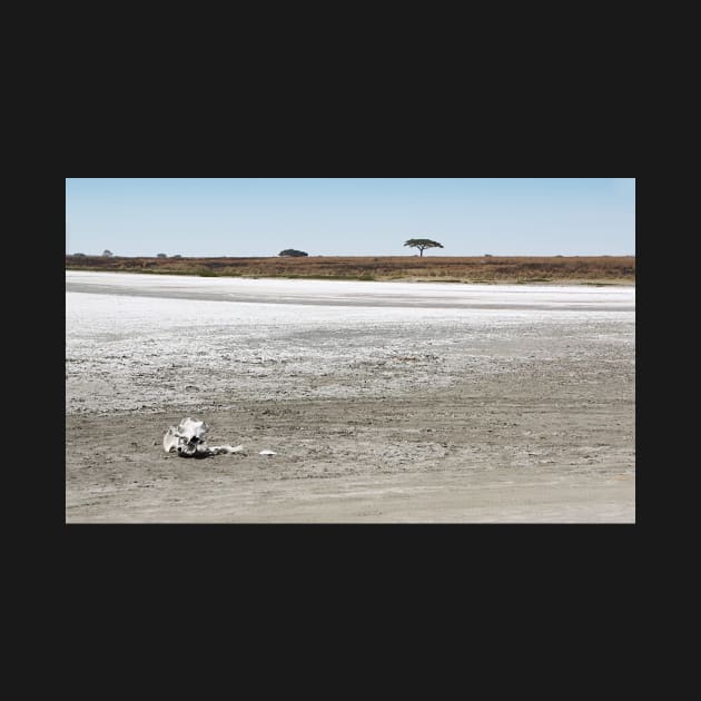 Death, & Dead Lake, Tanzania by Carole-Anne