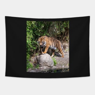 Tiger standing by the pond Tapestry