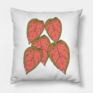 aglaonema leaf Pillow