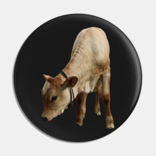 Funny beef calf cattle Pin