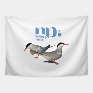 Roseate Tern Tapestry