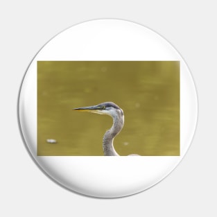 Profile of a Great Blue Heron Pin