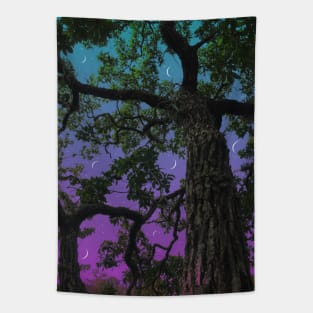 Moon Valley Tapestry