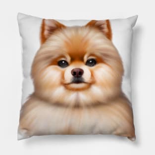 Cute Pomeranian Drawing Pillow