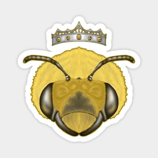 crowned bee Magnet